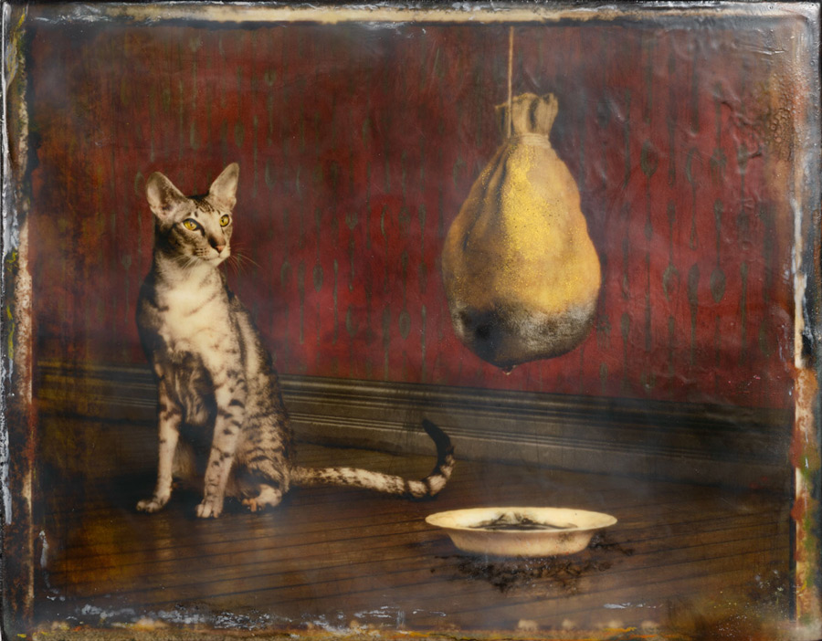 Curiosity
